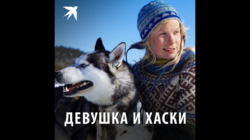 Девушка и хаски