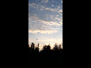 Vid 20200617 041337 mp4