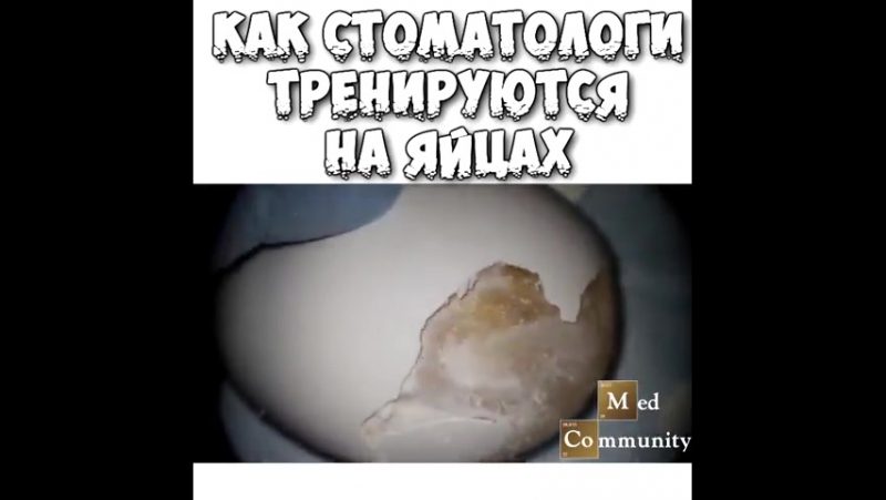 Так стоматологи тренируются перед операцией синуслифтинга