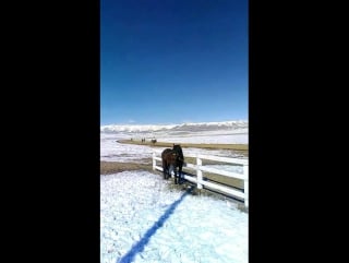 Ол бір әйелді байлап, құрбысын сиқырға шақырды.