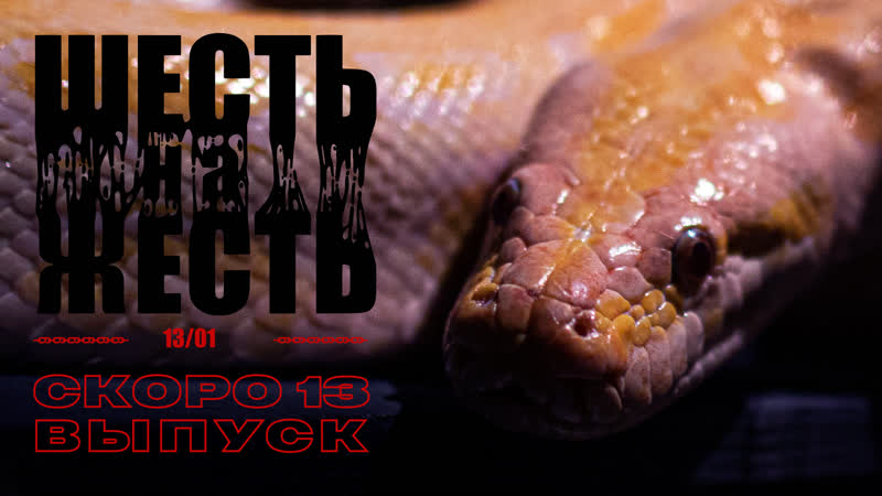 Хоррор шоу «шесть на жесть» тринадцатый выпуск уже 13 января! 16+