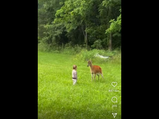 Fatality от оленя