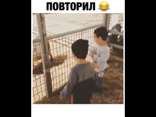 Повторил