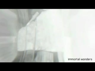 Casm vines joe mcalister x norrie calvert hill/ under the dome