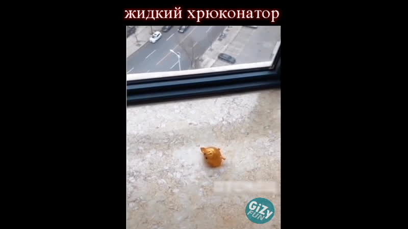 1000 porn video – Хрюконатор т 1000 [gizy fun]