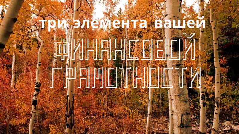 Кредитный porn video – Видео от кредитный консультант, любой регион, вся россия