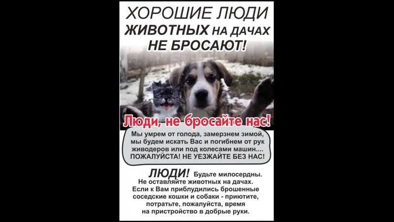 Заживо замороженные