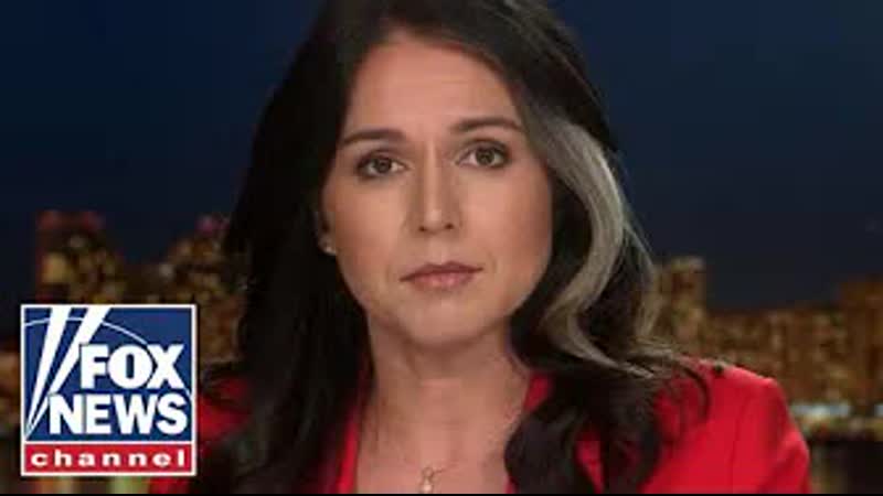 Tulsi gabbard " labs need to be 'shut down immediately' " ( march 10, 2022 )
