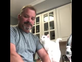 Lily the cat loves her hooman dad