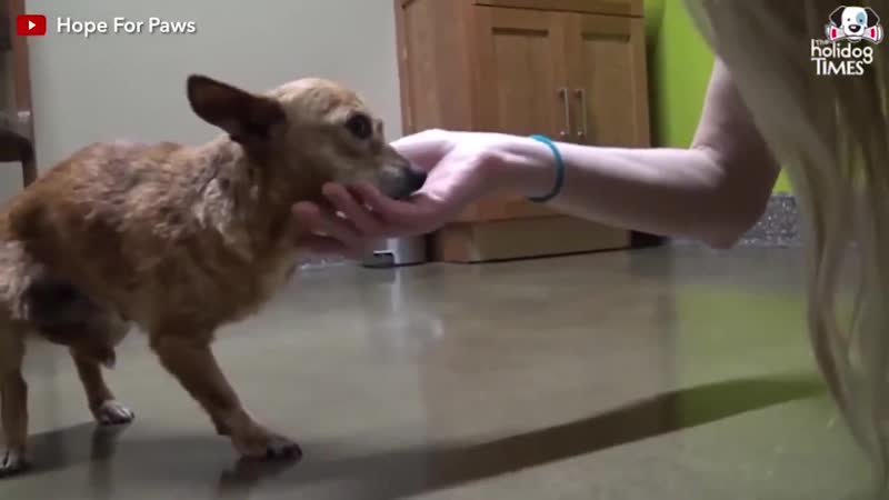 Пять долгих месяца ожидания в обувной коробке