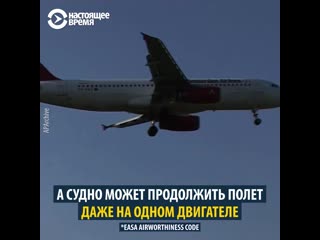 Как в аэропортах мира отпугивают птиц