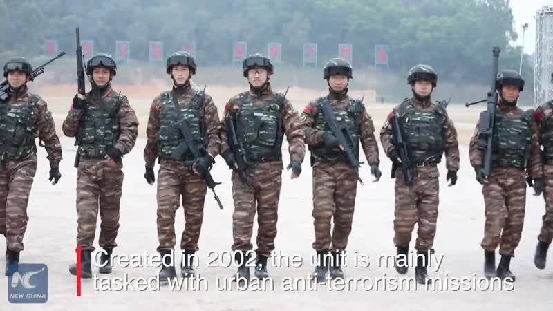 «снежные барсы» в действии!