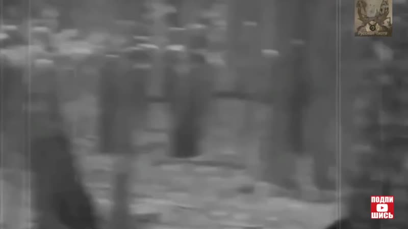 Нарезное оружие в новых правилах охоты 2021 года