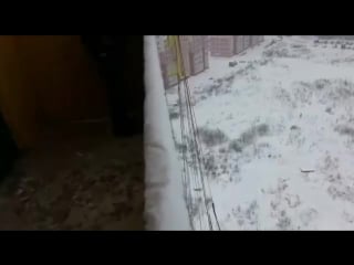 Видео гангстера