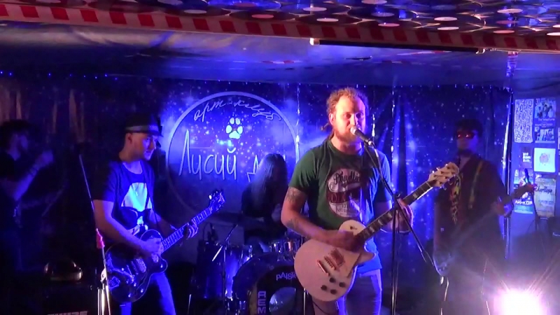 Chinchilla sponge гордые львы (арт клуб "лисий дом" г семёнов 300116)