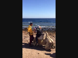 Dahab egipt, canyon dive site