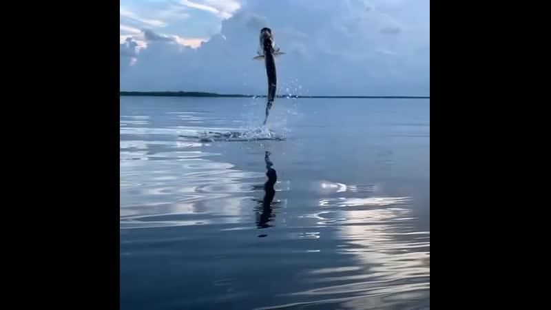 Красивая свечка