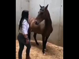 Best animals1 20200415 095357 0 mp4