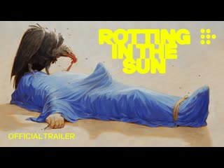 Rotting in the sun | trailer
