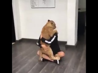 Львенок соскучился по своему другу