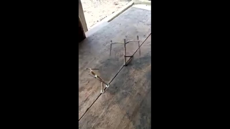 Майкрософт и сони сосат (vhs video)