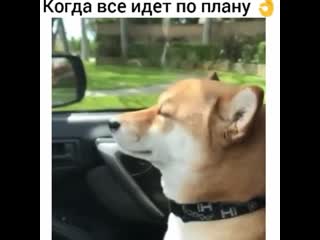 Само спокойствие