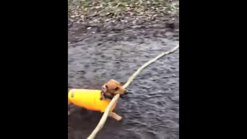 Соблюдайте социальную дистанцию!