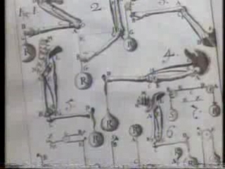 17 как движется человек