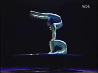 Contortion alegria
