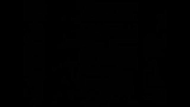 Даршан сатья саи бабы мадхура ананда! mp4