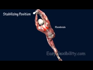 Sls how to pole dance russian split progression tutorial muscle animation easyflexii