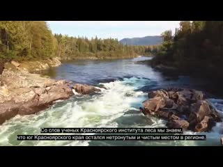 Спасём природу казыра