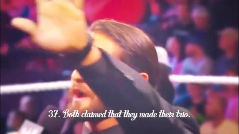 Seth rollins &amp; paige