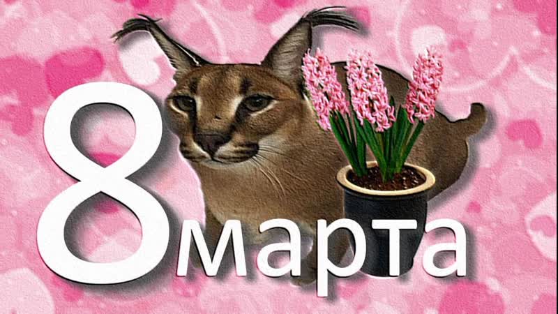 Большой шлепа анекдот про 8 марта