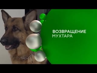 #сериалнтв "возвращение мухтара" 0830 и 1025 по будням на нтв