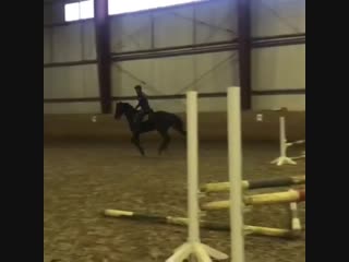 Aleksandr markov on instagram “show jumping gymnastics for young star eskhil”