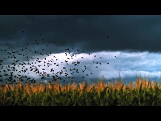 Разнообразие молний