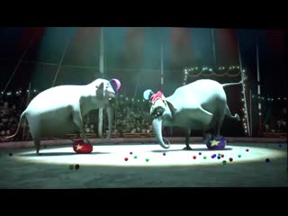 Madagascar 3 porn gets stuck in a elephant butt mp4