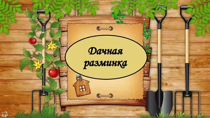 Дачная разминка mp4