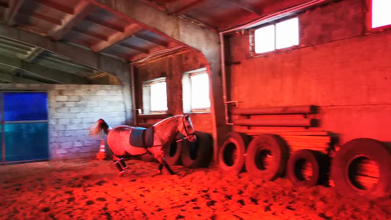 Горькоа, грохот работает в манеже