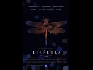 Стрекоза (2022) dragonfly (libélula)