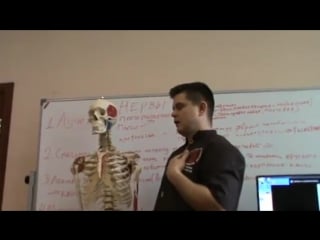 4 модуль, семинар 6(висцеральная сфера)день 1, ч 4 повторение пройденного