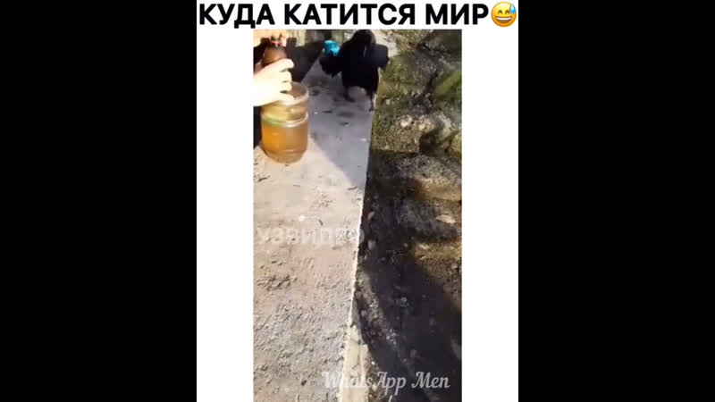 Накурил ворону