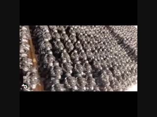 Tf dreamfactory megatron