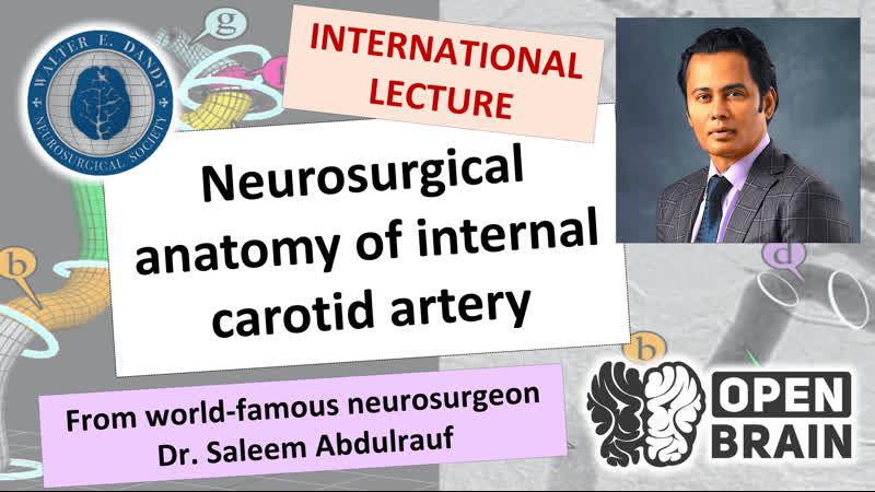 Neurosurgical anatomy of internal carotid artery