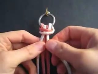 Tkb двухцветная вереа соломона