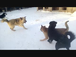 Trim 20190122 140412 mp4