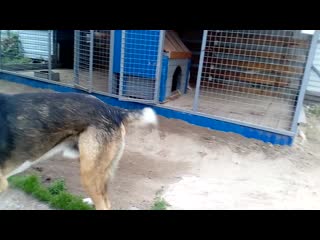 Trim 20200612 185139 mp4