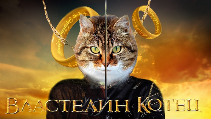 Котокритик #6 хоббит, козловский, street fighter