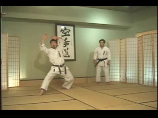 Hirokazu kanazawa mastering karate part 4 kyu kata